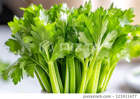 Fresh celery stalks standing in a kitchen, showing vibrant green color and healthy appeal 123911477