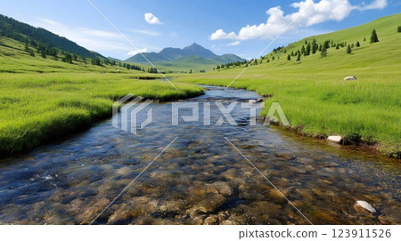 Crystal-clear stream flowing through lush green meadow in mountain valley 123911526