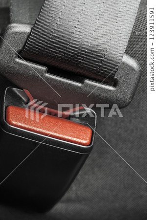 Seat Belt Buckle 123911591