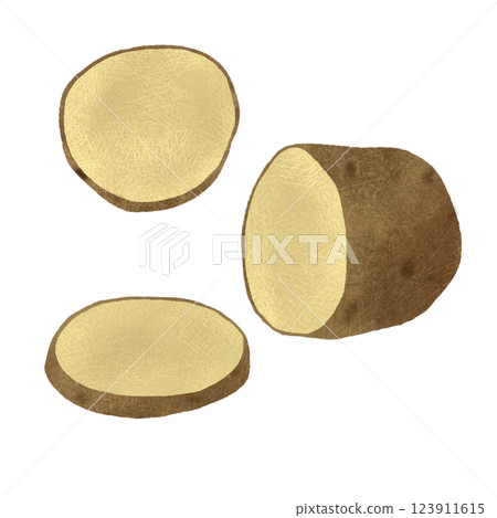 Potato tubers for cooking, handmade digital illustration on a white background Potato tubers for cooking, handmade digital illustration on a white background 123911615