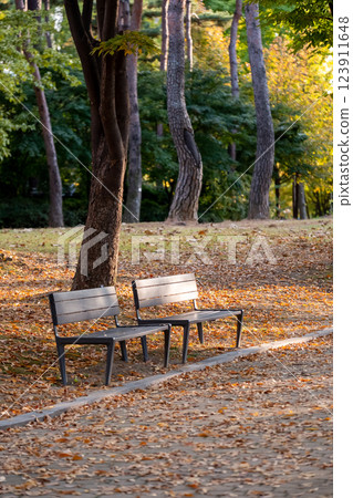 Benches at Yeouido Park along the walkway with colorful leaves tree, autumn foliage. It is a park in Yeongdeungpo District, Seoul, South Korea. Benches at Yeouido Park along the walkway with colorful leaves tree, autumn foliage. It is a park in Yeongdeungpo District, Seoul, South Korea. 123911648