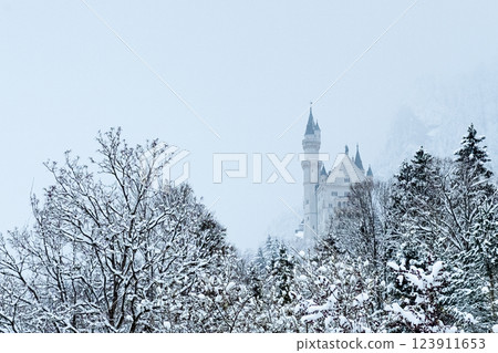 Neuschwanstein Castle in winter landscape. a nineteenth-century Romanesque Revival palace on a rugged hill above the village of Hohenschwangau near Fussen in southwest Bavaria, Germany. 123911653