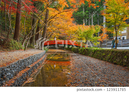 Autumn foliage at the Momiji Festival at Oguni Shrine, Ichinomiya, Totomi Province, in Morimachi (Shizuoka Prefecture) Autumn foliage at the Momiji Festival at Oguni Shrine, Ichinomiya, Totomi Province, in Morimachi (Shizuoka Prefecture) 123911785