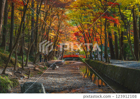 Autumn foliage at the Momiji Festival at Oguni Shrine, Ichinomiya, Totomi Province, in Morimachi (Shizuoka Prefecture) 123912108