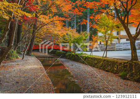 Autumn foliage at the Momiji Festival at Oguni Shrine, Ichinomiya, Totomi Province, in Morimachi (Shizuoka Prefecture) Autumn foliage at the Momiji Festival at Oguni Shrine, Ichinomiya, Totomi Province, in Morimachi (Shizuoka Prefecture) 123912111