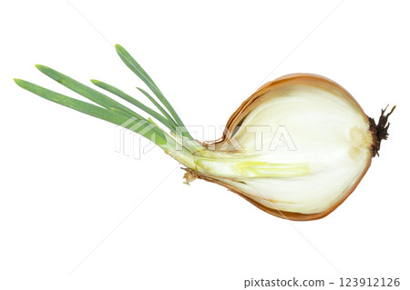 Onions, cut in half 123912126