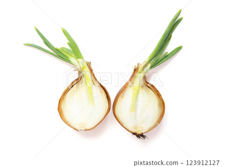 Onions, cut in half Onions, cut in half 123912127