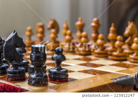 Chess pieces on the field 123912247