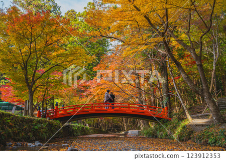 靜岡縣森町遠富國一宮市小國神社的紅葉祭 123912353