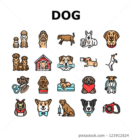 dog breeding genetics pedigree icons set vector 123912824