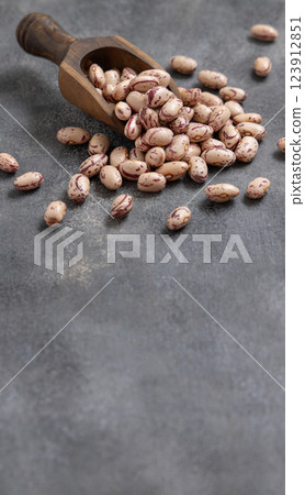 Wooden scoop full of dried pinto beans on gray closeup, copy space. Traditional Latin American legumes Wooden scoop full of dried pinto beans on gray closeup, copy space. Traditional Latin American legumes 123912851