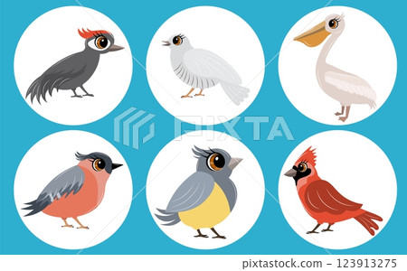 Set of vector birds. Woodpecker, cuckoo, pelican, cardinal and tit. Animals collection. 123913275