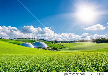 Biomethane production plant: generating renewable energy from biomass 123913403