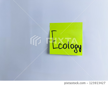 Handwritten word Ecology on green sticky note Handwritten word Ecology on green sticky note 123913427