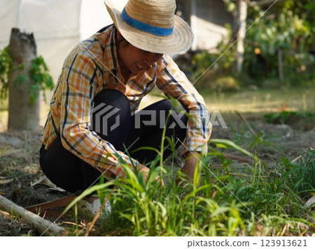 Asian adult woman working outdoors in summer garden. 123913621