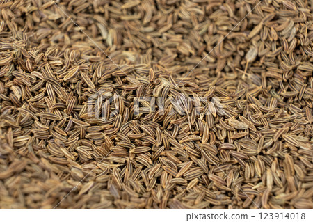 Whole cumin seeds Carum carvi L. macro 123914018