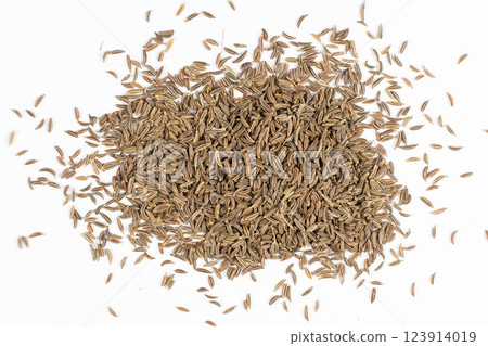 Dried Cumin Seeds Close-Up Culinary Ingredient on White Top View 123914019