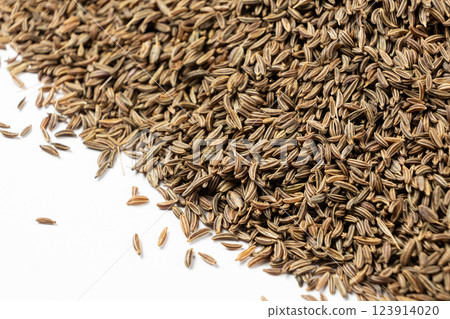 Dried Cumin Seeds Close-Up Culinary Ingredient on White Background 123914020