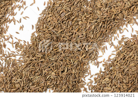 Dried Cumin Seeds Close-Up Culinary Ingredient on White Top View 123914021