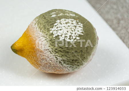 Rotten Lemon with Green and White Mold Spots Rotten Lemon with Green and White Mold Spots 123914033