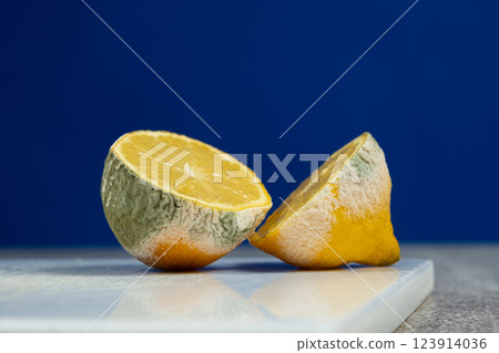 Rotten Lemon with Green and White Mold Spots 123914036