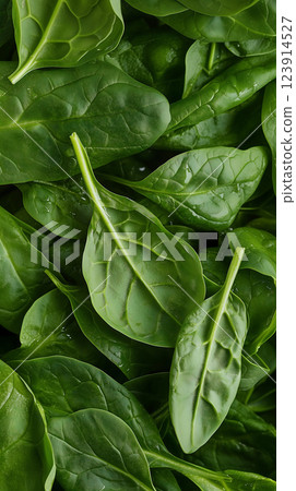 Green baby spinach leaves background. Fresh green backdrop. AI illustration Green baby spinach leaves background. Fresh green backdrop. AI illustration 123914527