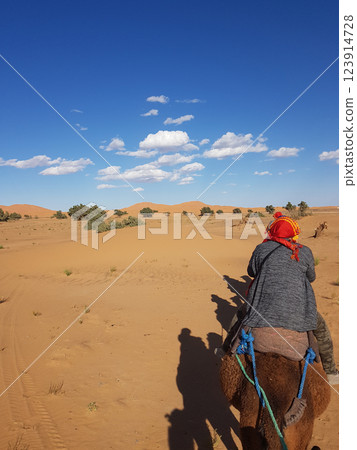 A person is currently riding a camel in the vast desert landscape A person is currently riding a camel in the vast desert landscape 123914728