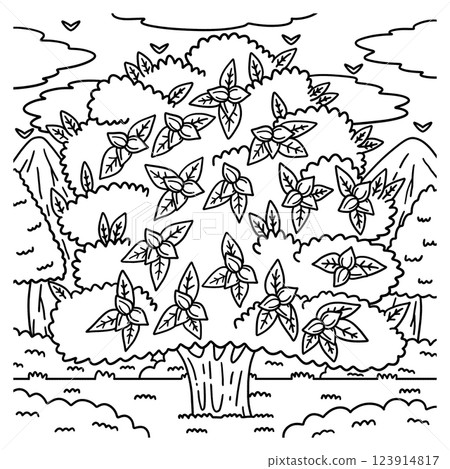 Pecan Tree Fruit Plant Coloring Page for Kids Pecan Tree Fruit Plant Coloring Page for Kids 123914817