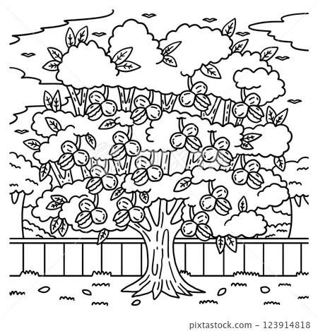 Walnut Tree Fruit Plant Coloring Page for Kids Walnut Tree Fruit Plant Coloring Page for Kids 123914818