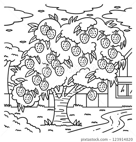 Lychee Tree Fruit Plant Coloring Page for Kids 123914820