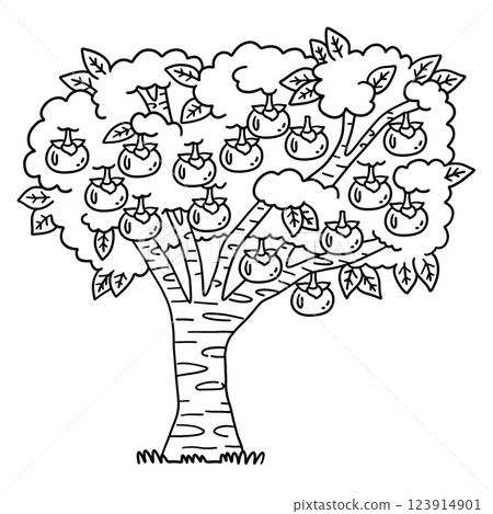 Persimmon Tree Fruit Plant Isolated Coloring Page Persimmon Tree Fruit Plant Isolated Coloring Page 123914901