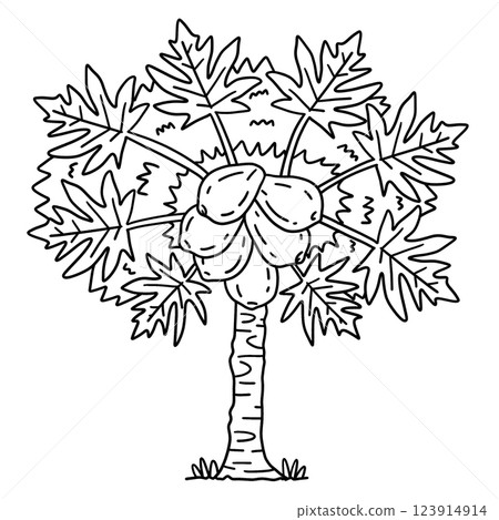 Papaya Tree Fruit Plant Isolated Coloring Page  123914914
