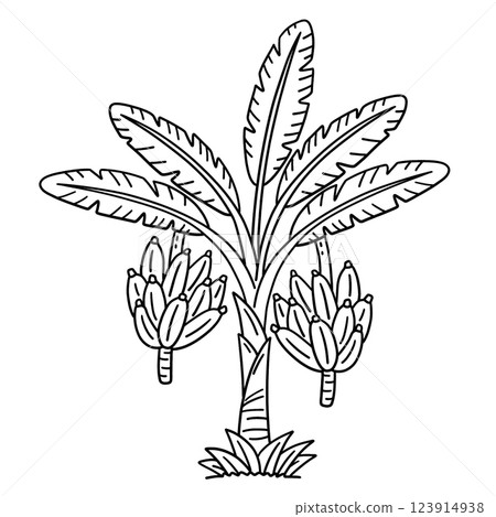 Banana Plant Fruit Plant Isolated Coloring Page Banana Plant Fruit Plant Isolated Coloring Page 123914938