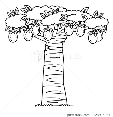 Baobab Tree Fruit Plant Isolated Coloring Page  123914944