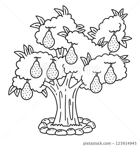 Avocado Tree Fruit Plant Isolated Coloring Page Avocado Tree Fruit Plant Isolated Coloring Page 123914945