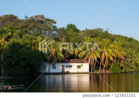 Serene lakeside house nestled among lush palms in a tranquil natural setting 123915151