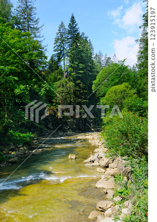 Colorful summer landscape. Mountain river with fast current and coniferous forest on the bank. Carpathians, Ukraine. Colorful summer landscape. Mountain river with fast current and coniferous forest on the bank. Carpathians, Ukraine. 123915197