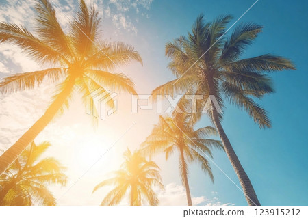 Copy space of silhouette tropical palm tree with sun light on sunset sky and cloud abstract background. Summer vacation and nature travel adventure concept. Vintage tone filter effect color style. Copy space of silhouette tropical palm tree with sun light on sunset sky and cloud abstract background. Summer vacation and nature travel adventure concept. Vintage tone filter effect color style. 123915212