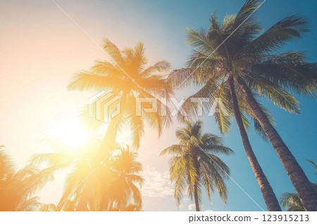 Copy space of silhouette tropical palm tree with sun light on sunset sky and cloud abstract background. Summer vacation and nature travel adventure concept. Vintage tone filter effect color style. 123915213