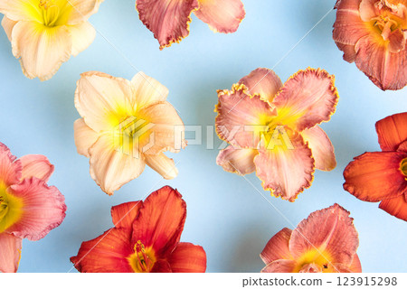 Abstract floral background of yellow and red lily flowers on a blue background with place for text. Copy space, mockup for special offers as advertising. Concept holiday Valentine's Day, March 8th 123915298