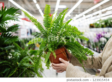 Girl Choosing Live Home Fern Plant In Pot In Gardening Supermarket Girl Choosing Live Home Fern Plant In Pot In Gardening Supermarket 123915454