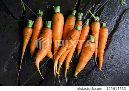 Freshly harvested carrots being washed in the vegetable garden 123915883