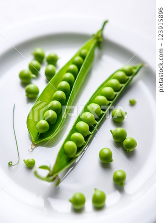 Macro shot of open pods of green sugar snap peas Macro shot of open pods of green sugar snap peas 123915896