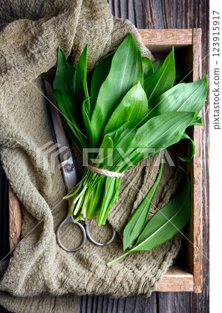 Top view of vibrant green wild garlic bundled in a wooden box Top view of vibrant green wild garlic bundled in a wooden box 123915917