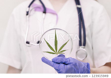 A medic professional with a stethoscope in a lab coat and blue gloves holds round laboratory glasses with a cannabis leaf. Hemp medicinal properties concept. A medic professional with a stethoscope in a lab coat and blue gloves holds round laboratory glasses with a cannabis leaf. Hemp medicinal properties concept. 123915949