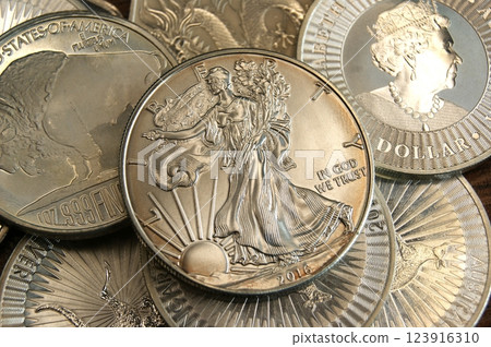 USA pure silver investment coin Liberty 2016 USA pure silver investment coin Liberty 2016 123916310