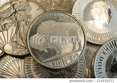 Investment coins. USA silver coin Buffalo Indian Head. Investment coins. USA silver coin Buffalo Indian Head. 123916312