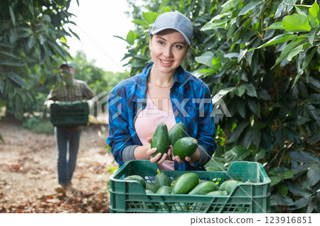 Smiling gardener woman posing with full avocado boxes Smiling gardener woman posing with full avocado boxes 123916851