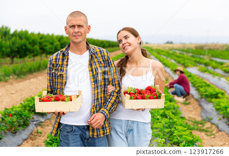 Couple holding crates with strawberry on field 123917266