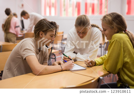 Fellow students having group work tasks during school class Fellow students having group work tasks during school class 123918611